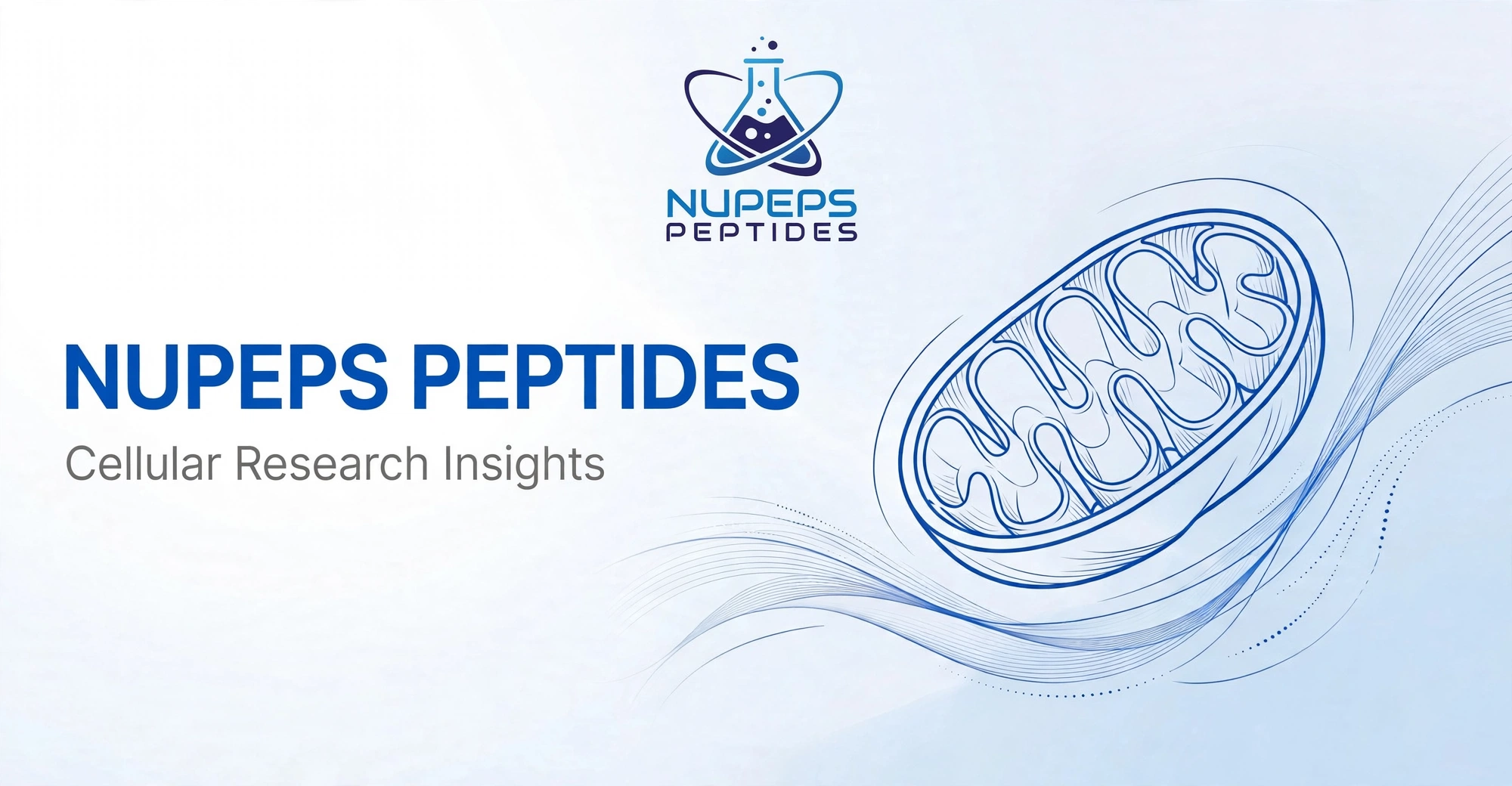 Metabolismo dell'energia cellulare ottimizzante con peptidi